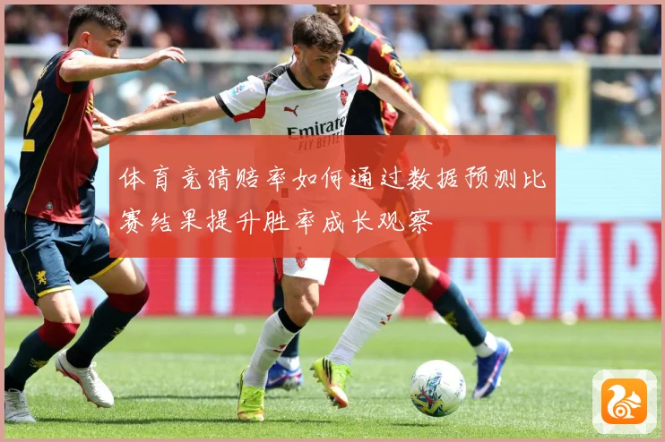 体育竞猜赔率如何通过数据预测比赛结果提升胜率成长观察